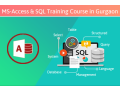 advanced-excel-training-mis-sql-macros-training-sla-institute-small-0