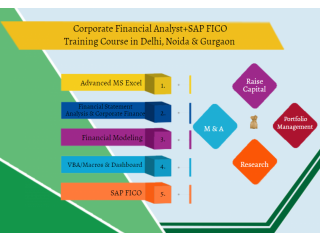 Financial Modeling Classes,100% Financial Analyst Job, Salary Upto 6.5 LPA, SLA, Delhi, Noida, Gurgaon