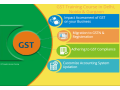 gst-training-gst-tutorial-e-learning-courses-online-by-sla-institute-delhi-noida-100-job-in-mnc-small-0