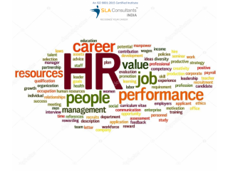HR Institute in Delhi, Pitam Pura, SLA Human Resource Course, Best Analytics Training Certification,