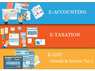 Accounting Certification Course in  Delhi, Noida, Ghaziabad with Tally and SAP FICO Software By CA
