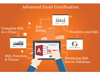 Advanced Excel & MIS Course  - Delhi & Noida Training Institute, 100% Job,