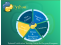 python-data-science-course-in-delhi-noida-ghaziabad-sla-analyst-learning-100-job-free-power-bi-tableau-training-certification-small-0