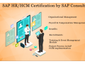 sap-hr-hcm-course-in-noida-delhi-sla-institute-adp-payroll-certification-2023-offer-small-0