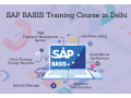 sap-basis-certification-in-delhi-sla-consultants-best-erp-training-institute-100-job-support-small-0