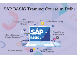 SAP Basis Certification in Delhi, SLA Consultants, Best ERP Training Institute, 100% Job Support,