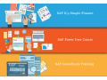 best-sap-finance-certification-in-laxmi-nagar-delhi-sla-accounting-institute-bat-training-classes-2023-offer-small-0