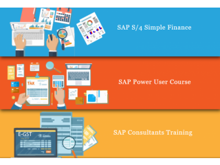 Best SAP Finance Certification in Laxmi Nagar, Delhi, SLA Accounting Institute, BAT Training Classes, 2023 Offer,