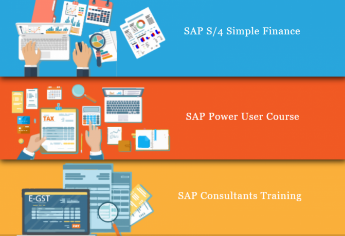 best-sap-finance-certification-in-laxmi-nagar-delhi-sla-accounting-institute-bat-training-classes-2023-offer-big-0