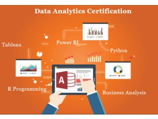 Govt. Registered Data Analytics Classes in Delhi & Ghaziabad, "SLA Consultants 100% Job,