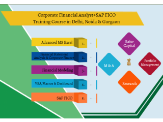Financial Modeling Course , 100% Financial Analyst Job, Salary Upto 6 LPA, SLA Consultants, and Delhi, Noida, Ghaziabad