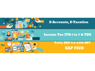 Accounting Certification Course in Delhi, Noida, Ghaziabad with Tally and SAP FICO Software By CA