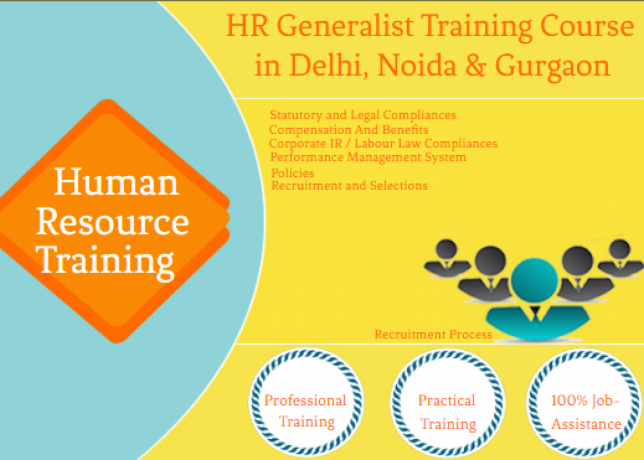 online-hr-course100-job-salary-upto-55-lpa-sla-human-resource-training-classes-payroll-sap-hcm-delhi-noida-ghaziabad-gurgaon-big-0
