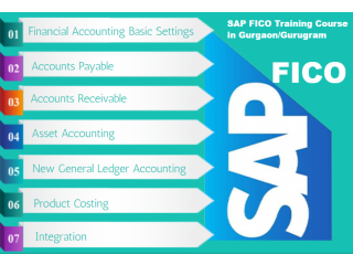 SAP Finance Certification Course in Delhi, Noida, Ghaziabad with Tally and SAP FICO Software by CA, 2023 Offer,