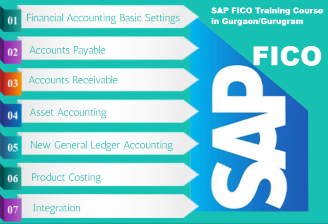 sap-finance-certification-course-in-delhi-noida-ghaziabad-with-tally-and-sap-fico-software-by-ca-2023-offer-big-0