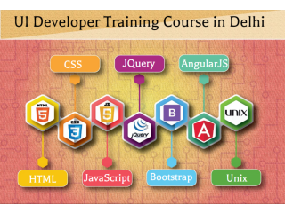 Job Oriented UI Course in Delhi, SLA Training Institute, Web Designing Certification, 2023 Offer, 100% Job,