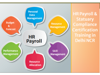 "2023 Offer" HR Institute in Delhi, Faridabad, SAP HCM Certification, SLA Institute, Qandle Payroll Training,