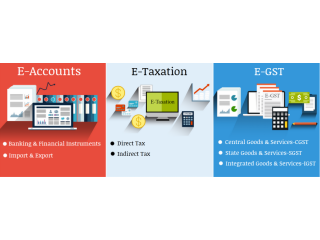 Accounting Training in Delhi, Noida, Ghaziabad, Job Guarantee Course, "SLA Consultants"