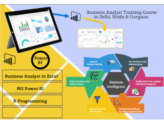 Online Business Analyst Certification, Business Intelligence with MS Power BI, Tableau & Domo Analytics, Machine Learning Data Science with Python,