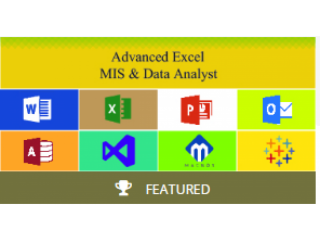 MIS Institute, Advanced Microsoft Excel Classes, VBA Macros, MS Access Training, SLA Institute, 100% Job.