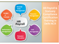 hr-payroll-certification-in-delhi-ghaziabad-noida-sla-classes-sap-hcm-course-hr-training-institute-2023-offer-small-0