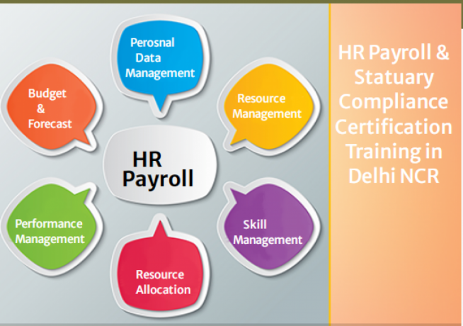 hr-payroll-classes-in-delhi-sla-certificate-hr-analyst-course-for-hrbp-sap-hcm-payroll-institute-31jan-23-offer-big-0