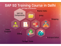 online-sap-sd-certification-course-in-delhi-sla-consultants-best-erp-training-institute-100-job-support-31jan23-offer-small-0