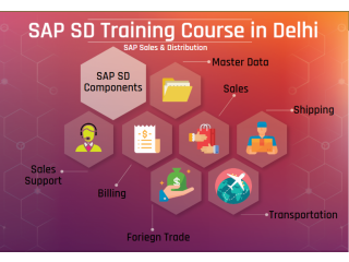 Online SAP SD Certification Course in Delhi, SLA Consultants, Best ERP Training Institute, 100% Job Support, 31Jan23 Offer