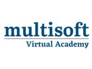 Structural Analysis Computer System (SACS) Software Online Training with Multisoft Virtual Academy