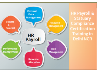 HR Payroll Training Program in Delhi, SLA Certificate, HR Analyst Course for HRBP, SAP HCM Payroll Institute, 31Jan 23 Offer,
