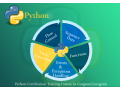 python-data-science-course-delhi-noida-gurgaon-sla-data-analyst-courses-100-job-free-r-program-power-bi-tableau-training-certification-small-0