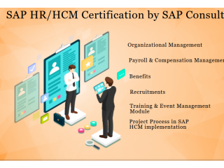 SAP HR HCM Certification Coaching, Delhi,  SLA Institute for Human Resource Course, 100% Job, 31Jna 23 Offer,