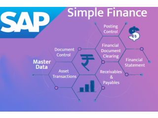 SAP FICO Hana Training Course by SLA Institute, Delhi, Noida, Ghaziabad, Best Feb'23 Offer 100% Job, Free Payroll Classes,