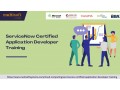 servicenow-certified-application-developer-training-small-0