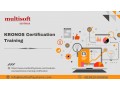 kronos-certification-and-training-course-small-0
