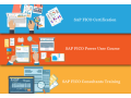 sap-fico-certification-in-preet-vihar-delhi-sla-sap-learning-tutorial-learning-sap-hana-finance-gst-training-course-100-job-small-0