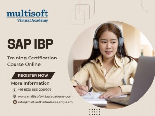 SAP IBP Online Training and Certification Course