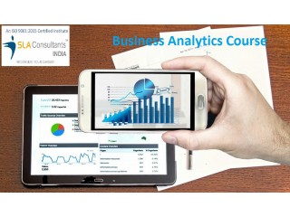 Business Analytics Course in Delhi, SLA Data Analyst Learning,  100% Job, Free Python, Power BI, Tableau Training Certification,