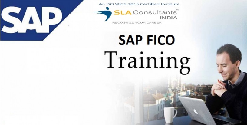 sap-fico-course-in-delhi-with-accounting-tally-gst-certification-by-sla-institute-mayur-vihar-100-job-placement-big-0