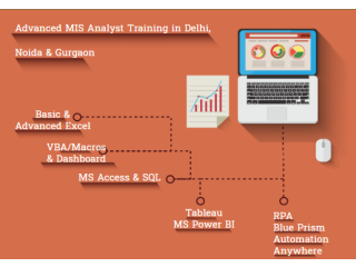 MIS Certification in Delhi with Excel, VBA/Macros, MS Access & SQL Certification, 100% Job Placement