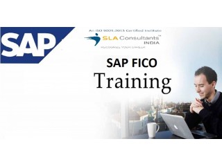 SAP FICO Classes in Delhi, Janakpuri, with Accounting, Tally GST Certification by SLA Institute, 100% Job in MNC
