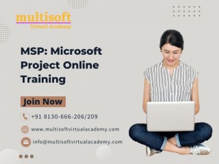 MSP: Microsoft Project Online Training