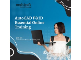 AutoCAD P&ID Essential Online Training
