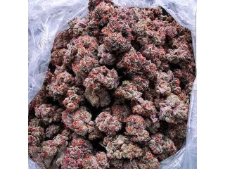 Buy Top Quality Medical Marijuana, Wax, Cannabis Oil, Edibles,Shatters And More +1(320) 200-9654.
