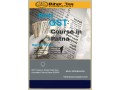 get-gst-course-in-patna-by-bihar-tax-consultant-with-highly-dedicated-teacher-small-0