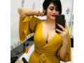 9711233777-call-girls-in-gulabi-bagh-low-rate-service-small-0