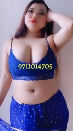 call-girls-in-igi-airport-delhi-ncr-9711014705-big-0