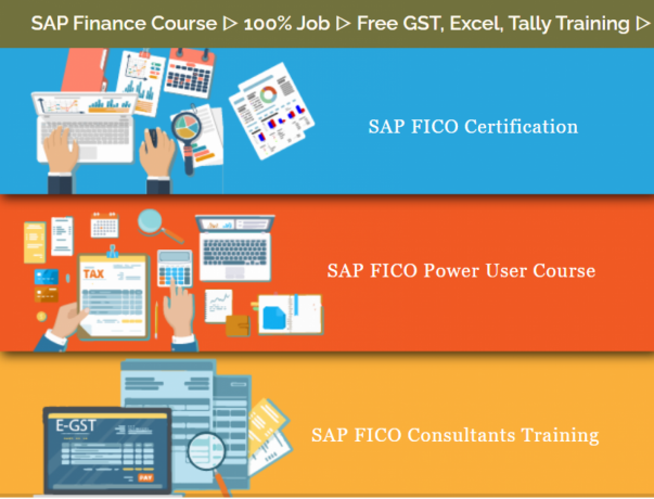 best-sap-fico-certification-in-delhi-loni-100-job-sla-institute-accounting-tally-gst-course-by-expert-with-free-demo-classes-big-0