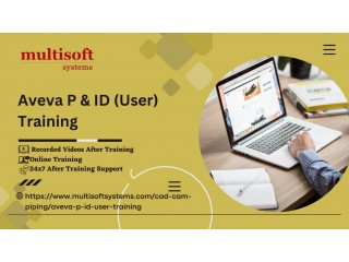 Aveva P & ID (User) Online Training Certification Course