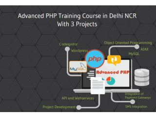Best PHP Institute in Delhi, SLA IT Institute, Live Project, Git, Wordpress, Laravel Certification with 100% Job Placement